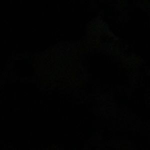 Meet your Posher, Chesney